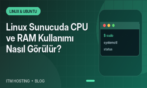 Linux Sunucuda CPU ve RAM Ku...